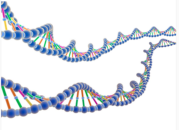 Descubrimiento estructura del ADN