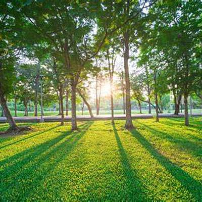 Timeline: PROBLEMATICA AMBIENTAL camilo moreno