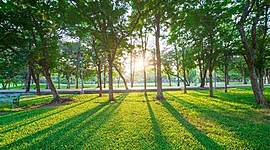 Timeline: PROBLEMATICA AMBIENTAL camilo moreno