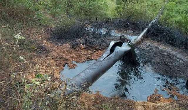 Mayor desastre ambiental de los últimos 10 años.