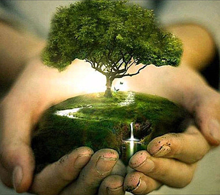 Inclusión de la responsabilidad ambiental en colegios.