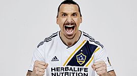 Timeline: Zlatan Ibrahimovic