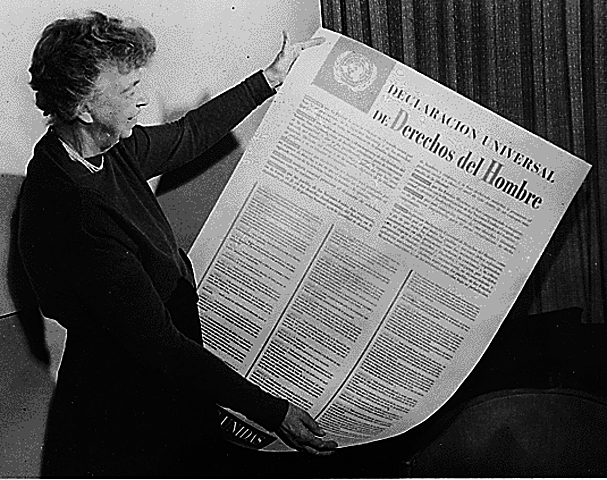 ORGANIZACIÓN DE NACIONES UNIDAS