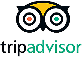 TripAdvisor es reconocido como sitio de viajes mas utilizado y confiable