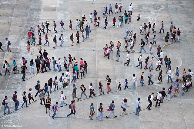 Elección de Figuras para realizar la gimnasia