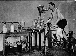 Harvard Fatigue Laboratory.