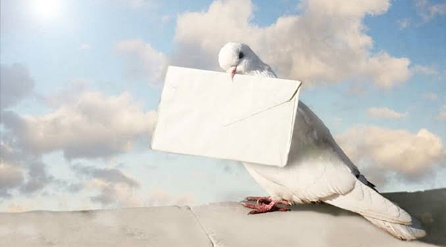 Se comienza a utilizar palomas para transmitir mensajes