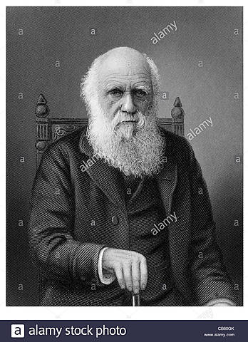 Charles Robert Darwin (1809-1882)