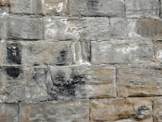 Brick walls and large windows