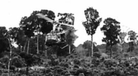 Timeline: 1wingvietnam