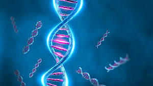 Genes