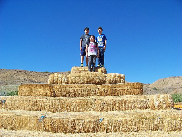 Visitando una granja de calabazas(las calabazas no salen pero están enfrente)