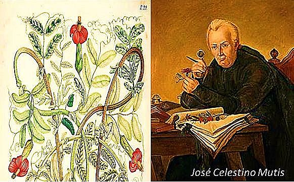 Expedición Botánica del Nuevo Reino de Granada