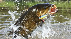 Timeline: First time fishing