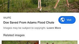 Timeline: First time hunting killed a doe