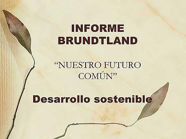 Informe Brundtland