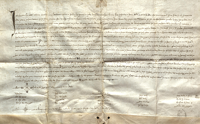 UNIVERSITY FOUNDATION