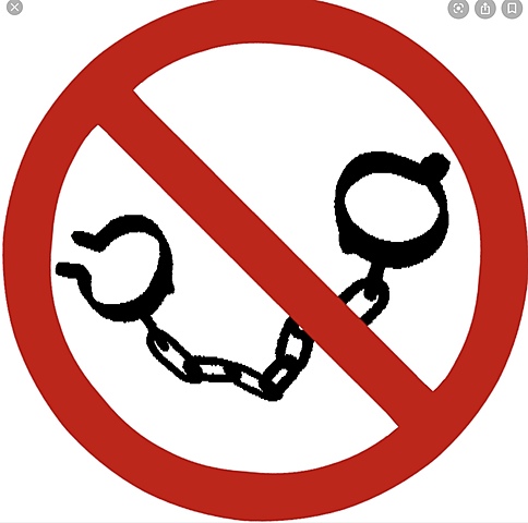 13th Amendment Proposed