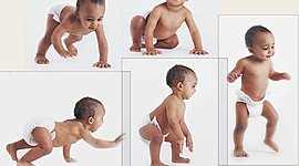 Timeline: HITOS DEL DESARROLLO