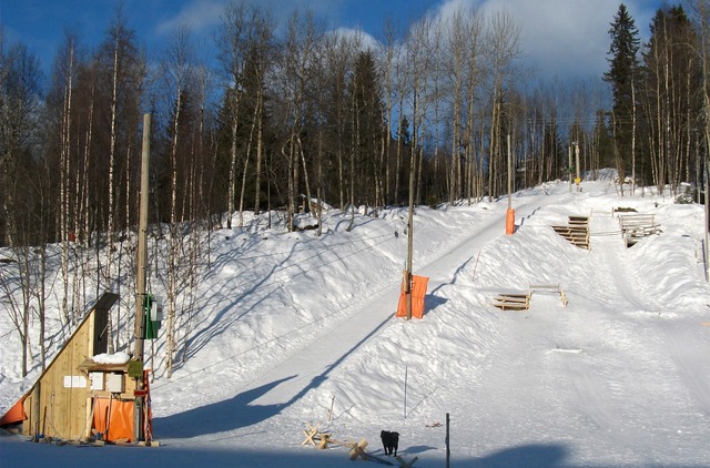 Skitrekk i skolengården