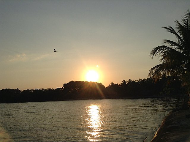 Viaje a Amatique Bay