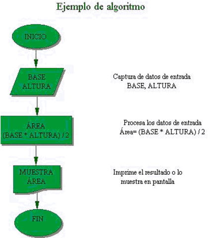 el algoritmo parte fundamental de la evolucion de la informatica