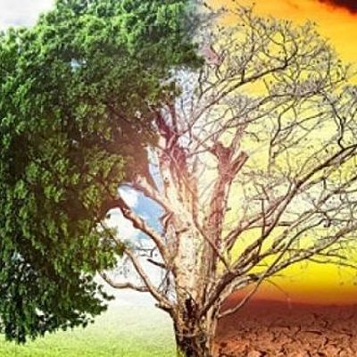 Timeline: Problemática Ambiental Global