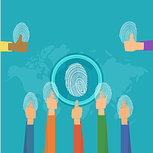 ART.6 CONSTITUCIONAL