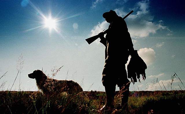 Convención para la preservación de los animales silvestres, pájaros y peces de África