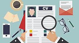 Timeline: Evolución del capital humano