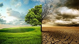 Timeline: Impacto Ambiental