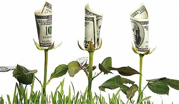 Economía Ecológica