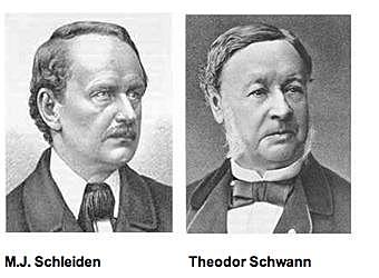 Matthias Jacob Schleiden y Theodor Schwann