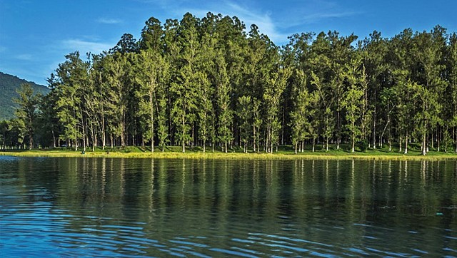 Primera travesía en aguas abiertas