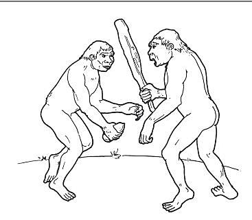 Historia de la ergonómia