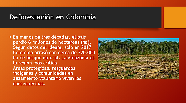Deforestación