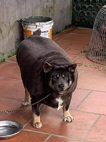 400 : BCE : context 1