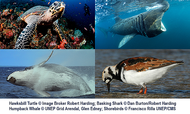 Convenio para la preservación de los animales silvestres, pájaros y peces del África.