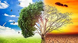 Timeline: El MUNDO Y LA PROBLEMÁTICA AMBIENTAL