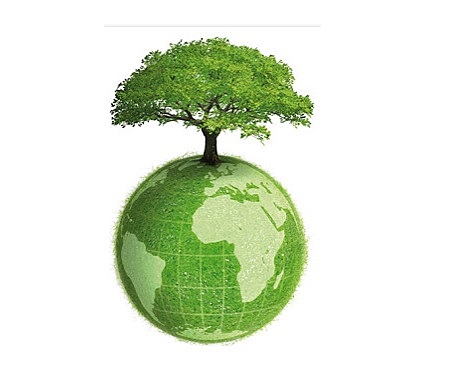 Club de Roma/Desarrollo Sostenible