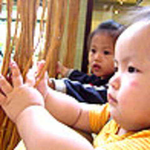 用嬰兒肥的小手胡做非為