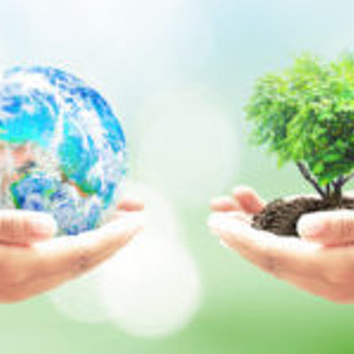 Timeline: Problemática Ambiental Global