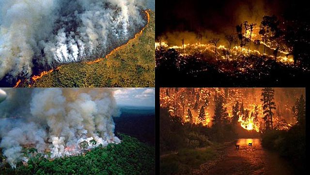 Incendios en el Amazonía Suramericana