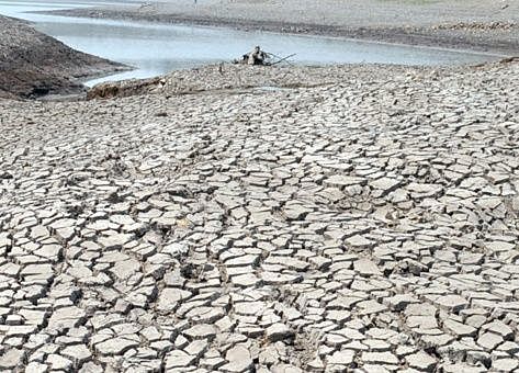 Salinización de los suelos