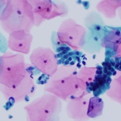 Timeline: Historia de la Citología