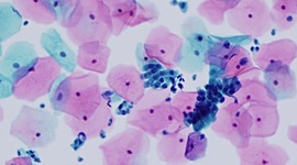 Timeline: Historia de la Citología