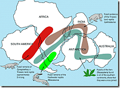 Alfred Wegener (parte 2)
