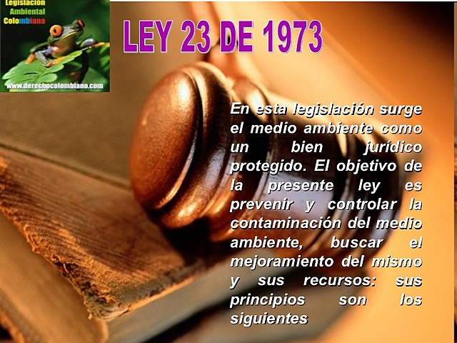 La ley 23 de 1973