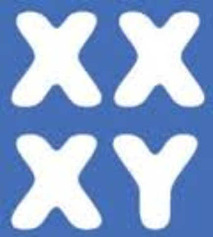 Se descubren los cromosomas X y Y.
