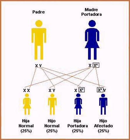 Se descubre la transformación genética